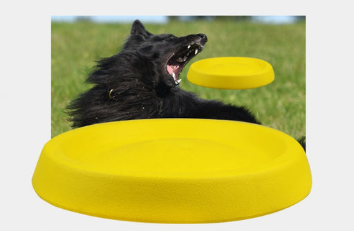 Fetch Frisbee - Pet Dogs Throwing Toys