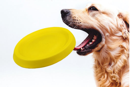 Fetch Frisbee - Pet Dogs Throwing Toys