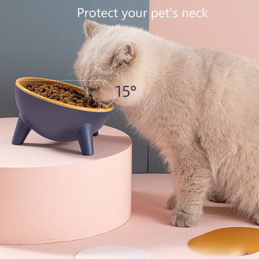 Purrfect Pet Feeding Bowl with Stand – Stylish & Functional