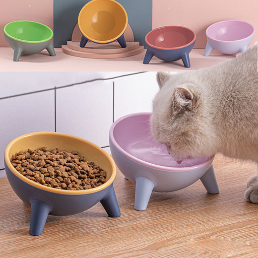 Purrfect Pet Feeding Bowl with Stand – Stylish & Functional