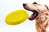 Fetch Frisbee - Pet Dogs Throwing Toys