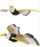 Simulated Flying Eagle toy for Cats & Dogs