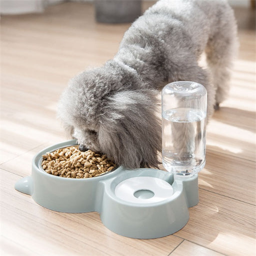 Purrfect Dog Bowl – Durable, Stylish & Practical