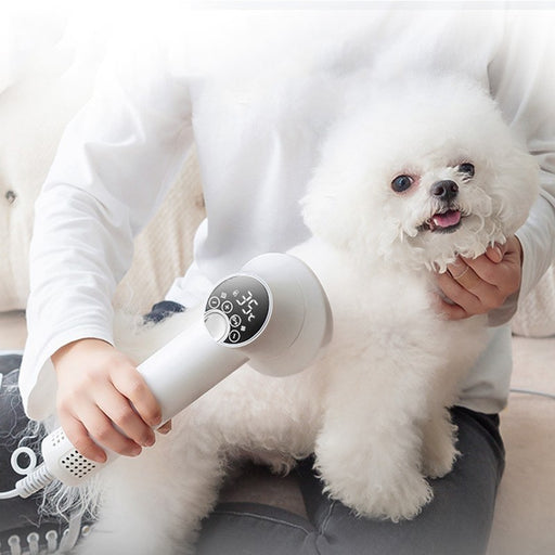 Pet-Friendly Hair Dryer