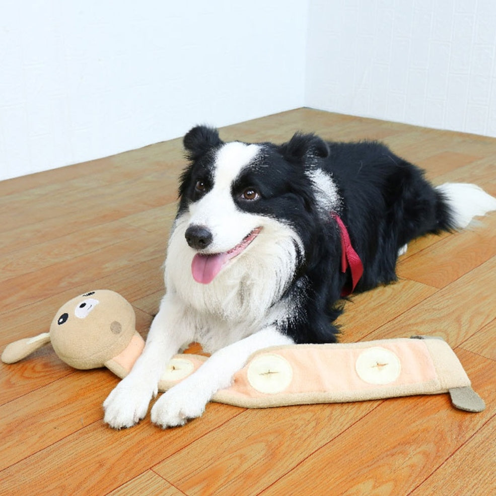 Bunny Roll Squeak & Treat Toy