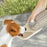 2 In 1 Pet Water Cup - Portable Dog Drinking & Feeding Solution