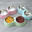 Purrfect Double Pet Bowls – Stainless Steel Food & Water Feeder