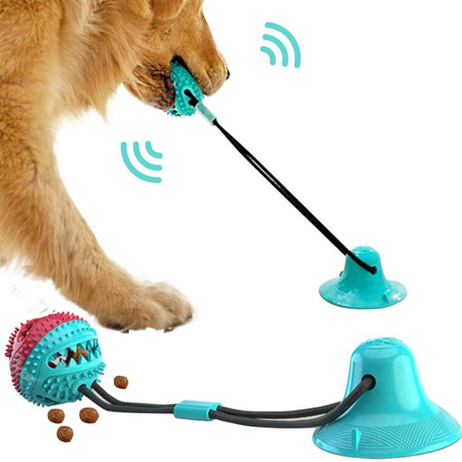 Purrfect Suction Cup Tug Dog Toy – Interactive, Dental Care &amp; Fun